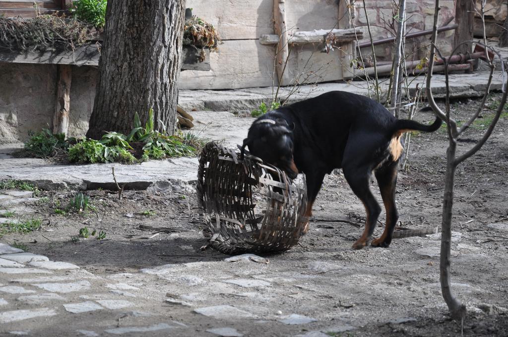 Haci Sakirler Konagi Mudurnu Exterior foto